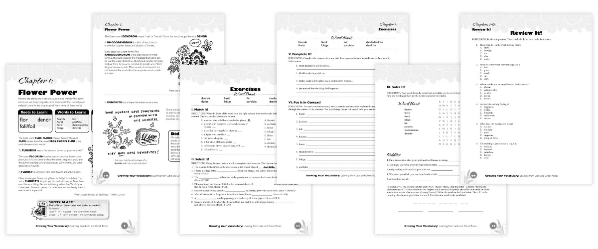 Get to the Root of the Reading Problem Growing Your Vocabulary